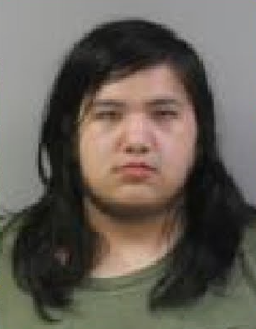 Carlos James Taylor Jr. mugshot