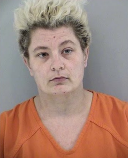 Heather Elaine Gray mugshot