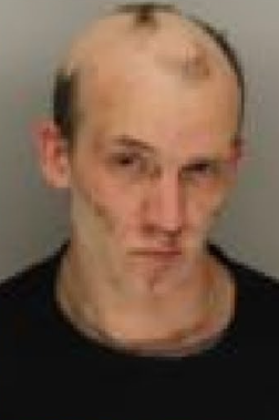 Joshua Crimmins Mugshot