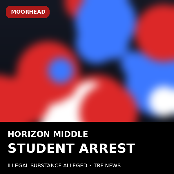 Horizon Middle School or police lights
