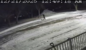 Nelson County Prowler Captured On Camera