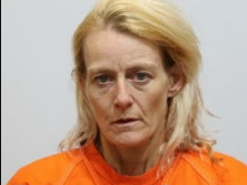 Chase Johnson and Shaina Rahier Mugshot