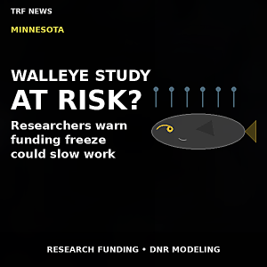 St. Paul: Funding Freeze Threatens Walleye Study