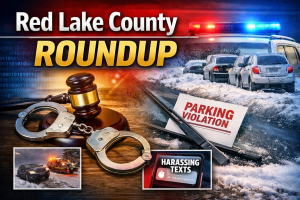 Red Lake County: Felony Charge, Parking Tickets