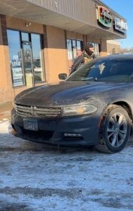 Detroit Lakes: ICE Arrest Caught on Video