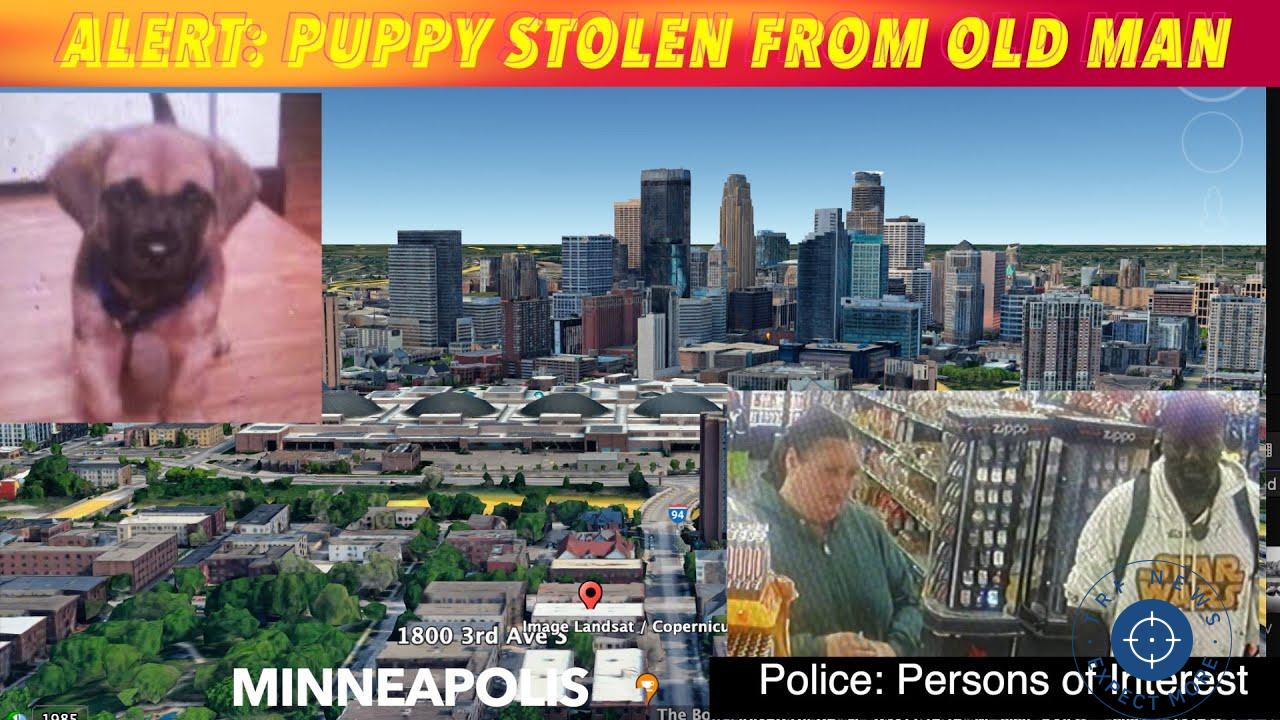 Minneapolis Police Seek Public's Help After Puppy Stolen from Elderly Man