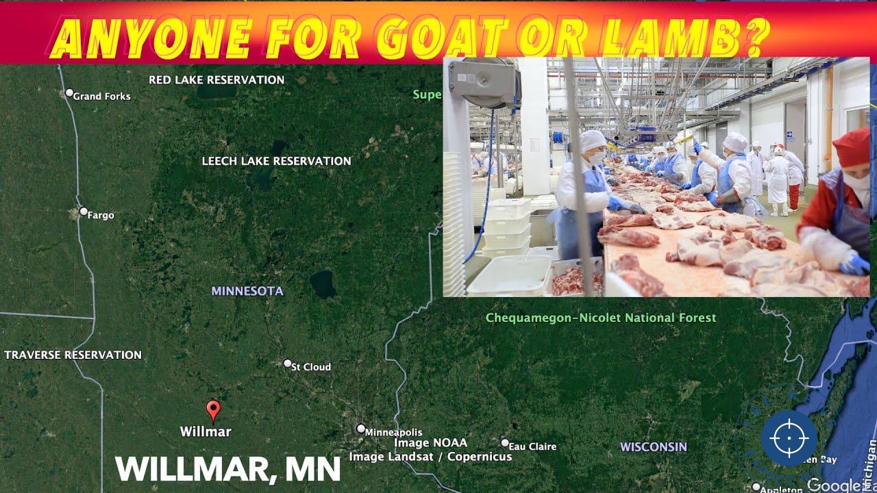 🐐 New Goat and Lamb Meat Processing Facility Coming to Willmar, Minnesota