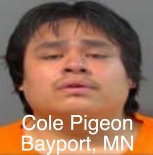 Cole Pigeon