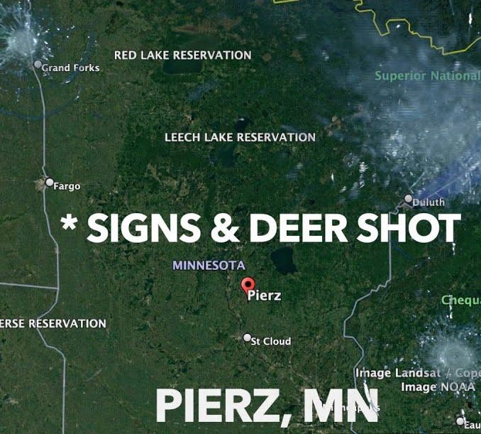 Morrison County on Alert: Authorities Hunt for Vandal Targeting Deer and Street Signs