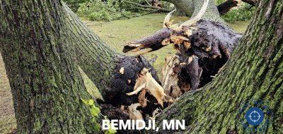 Storm Causes Severe Damage at Diamond Point Park in Bemidji, Minnesota