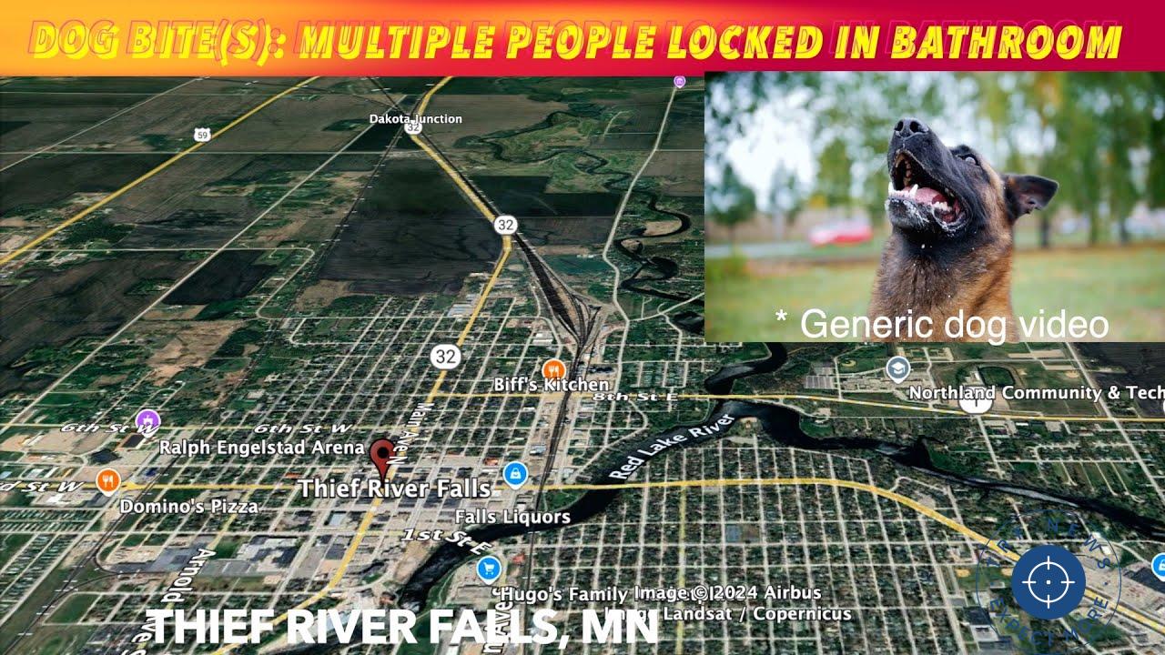 Emergency Response to Dog Bite Incident in Thief River Falls