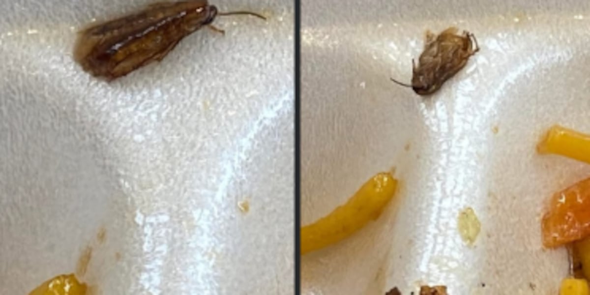 Cockroach Found in Food at Cajun Cafe in West Acres Mall Food Court