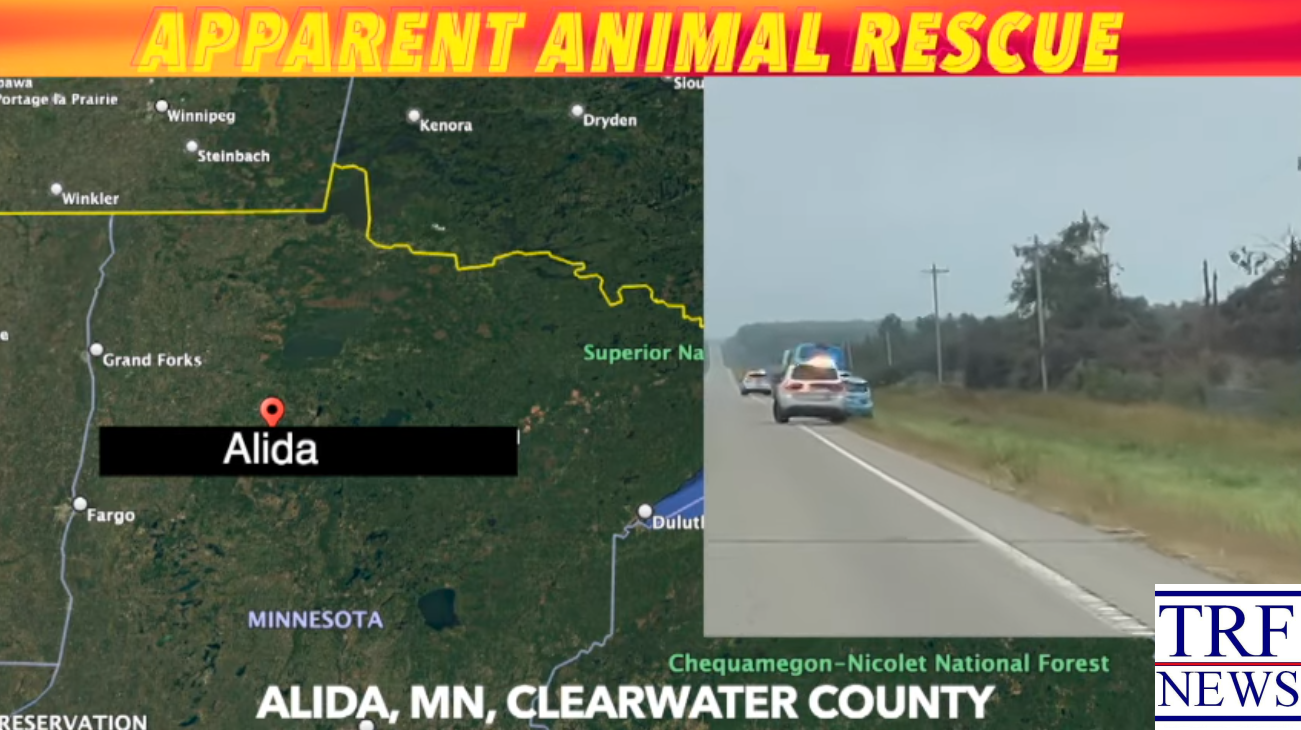 Animal Rescue Reported In Clearwater County