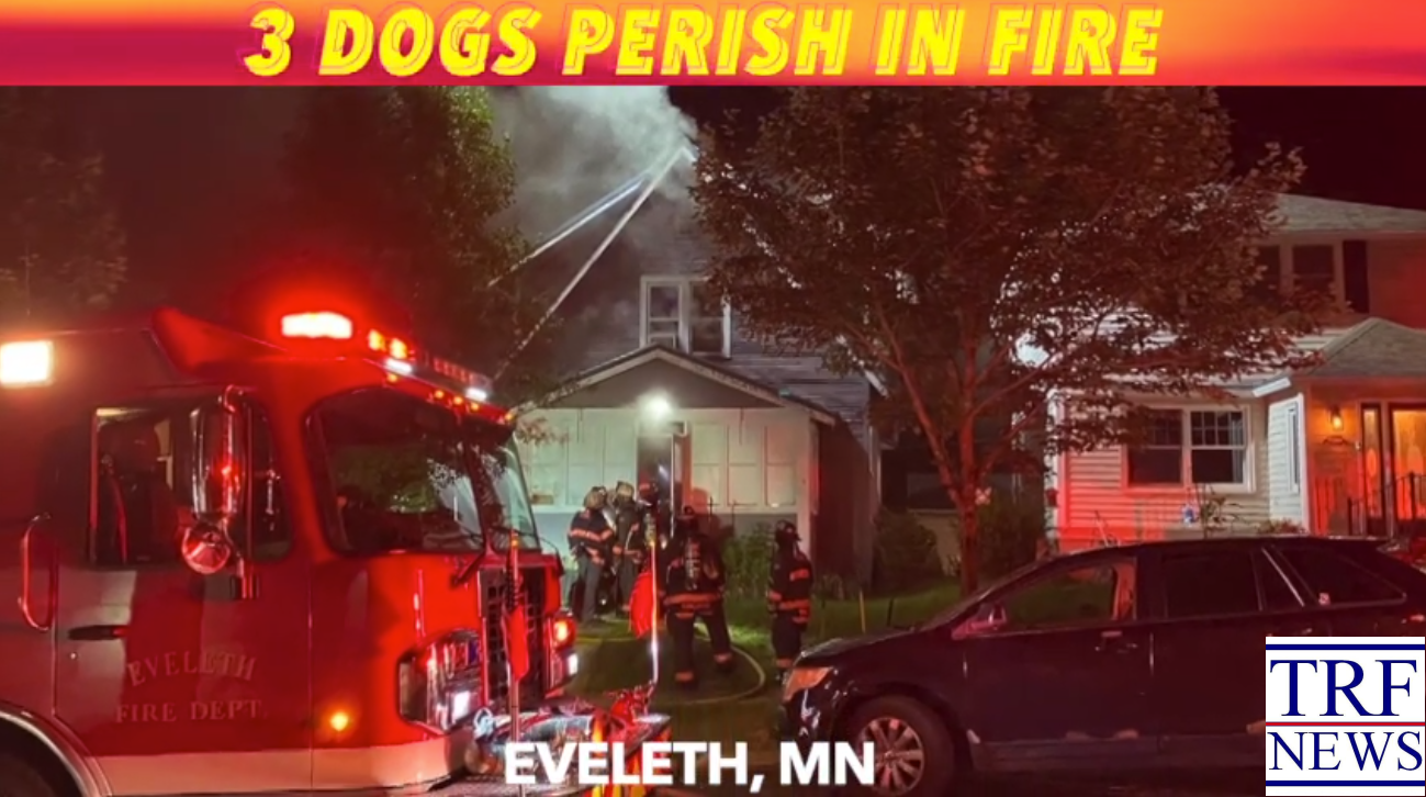 St. Louis County House Fire Kills Three Dogs