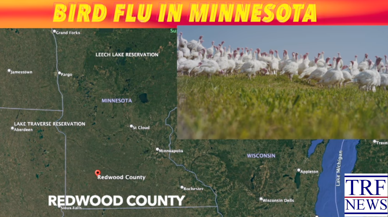 Minnesota Reports New Bird Flu Case