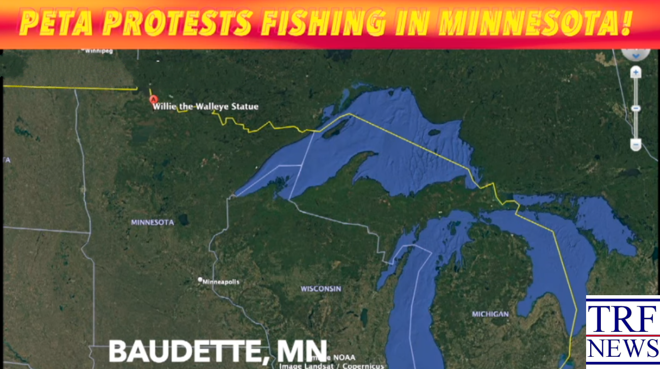 Lake of the Woods: PETA Pushes Mermaid Statue