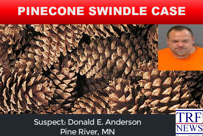 Pine River Man Charged in Pinecone Payment Fraud Case