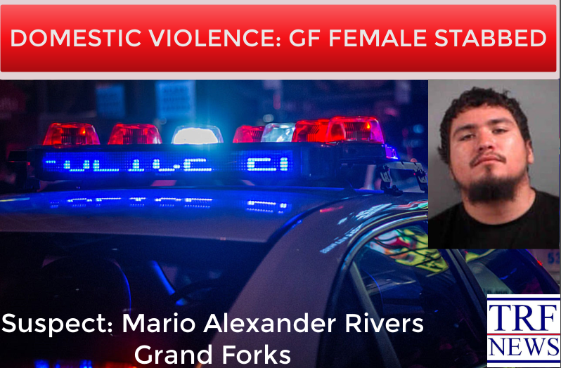 Grand Forks County: Man Charged in Violent Domestic Assault