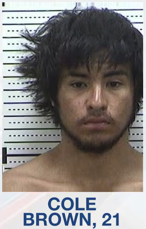 Cole Ronnie Brown mugshot