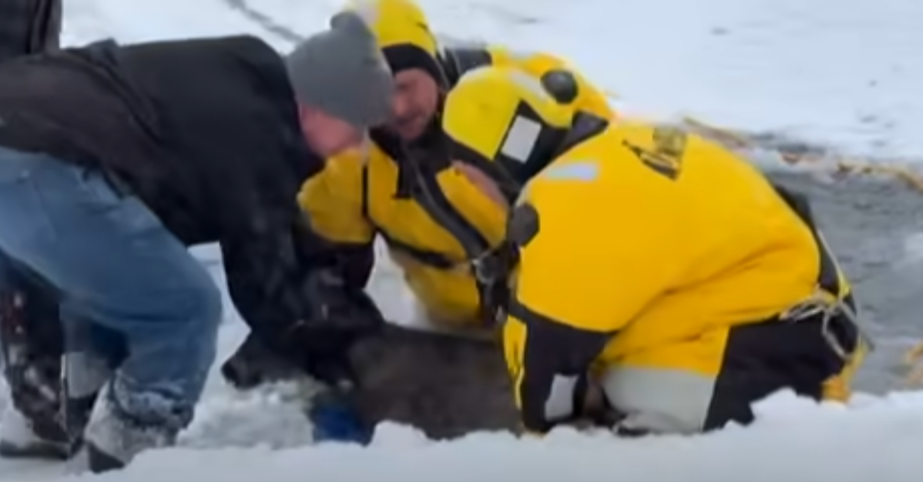 St. Louis County Deer Saved From Icy Lake