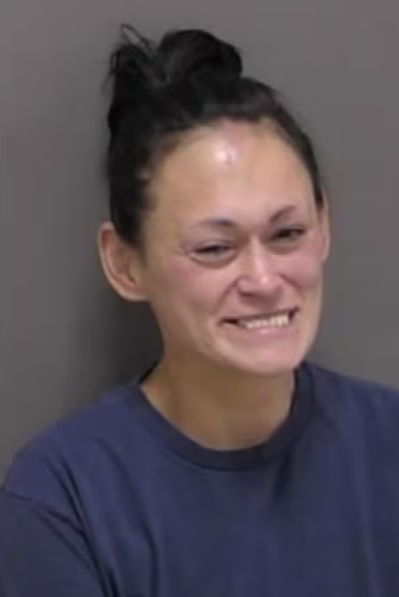 Booking photos related to Fargo hotel SWAT standoff