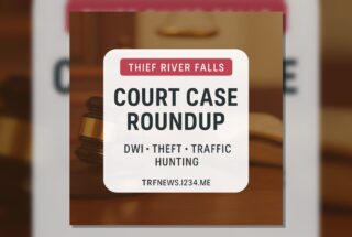 Thief River Falls Court Case Roundup