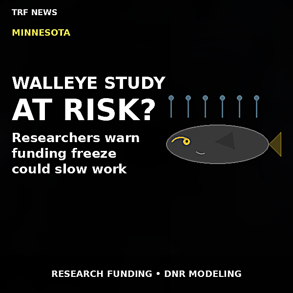 St. Paul: Funding Freeze Threatens Walleye Study