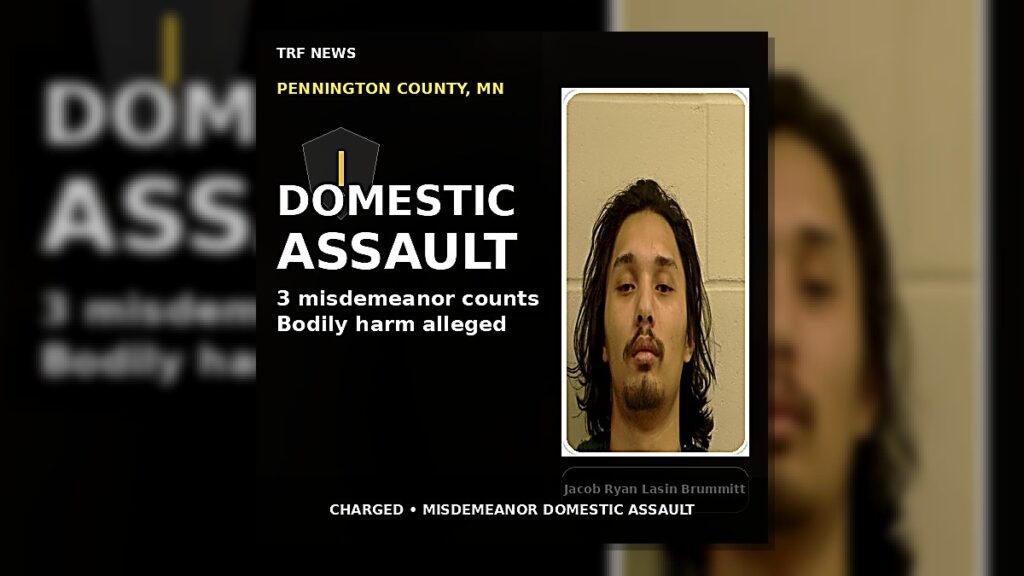 Thief River Falls: Man Charged in Domestic Assault