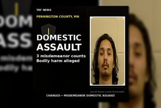 Thief River Falls: Man Charged in Domestic Assault