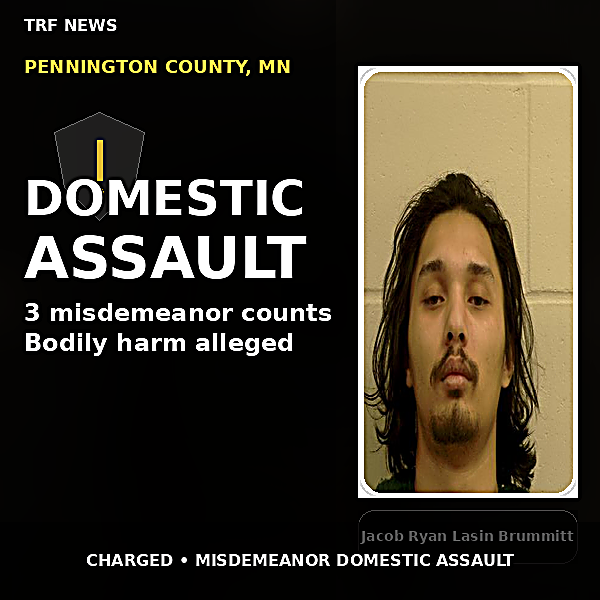 Thief River Falls: Man Charged in Domestic Assault