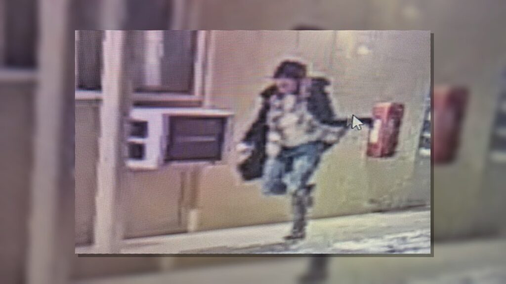 Bismarck Stabbing: Woman Sought After Leier Dies