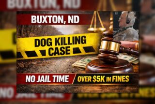Buxton man avoids jail after dog killing plea