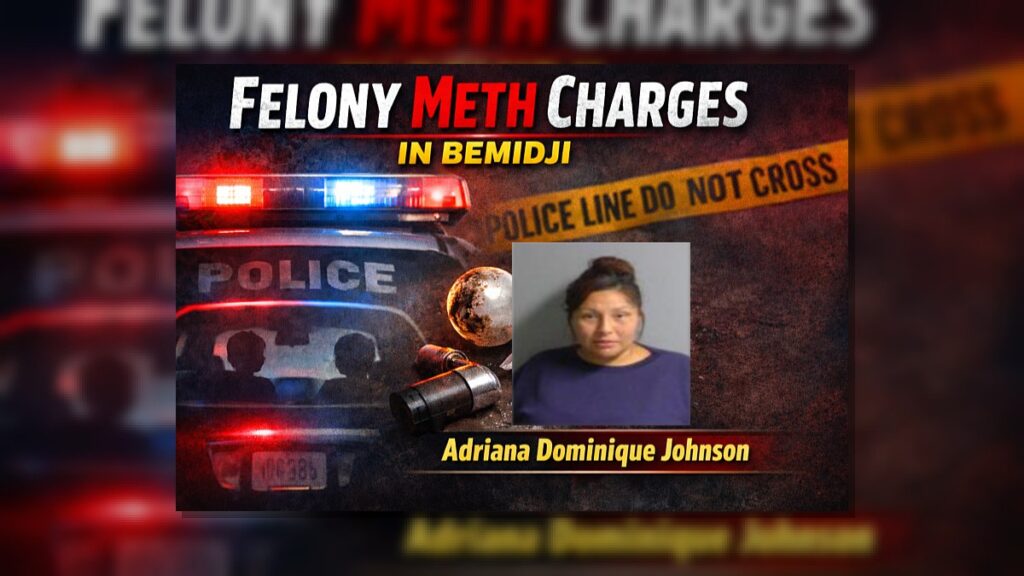 Bemidji Stop: Felony Meth Pipe Charge With Kids