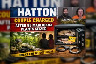Hatton: Couple Charged After 95 Marijuana Plants Found