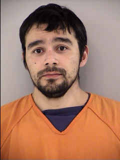 Dylan Robert Wolfgang Anderson mugshot