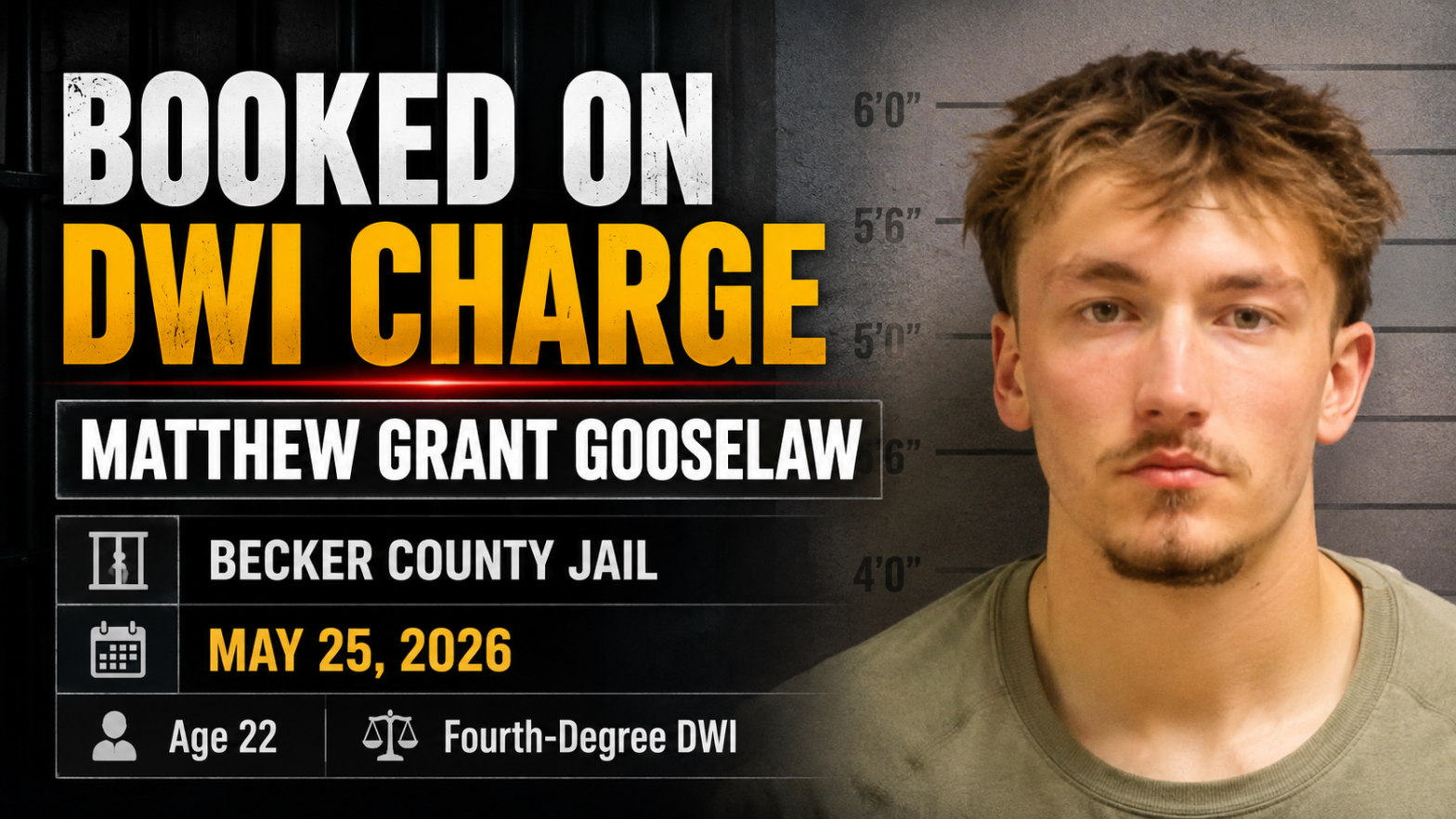 Matthew Grant Gooselaw