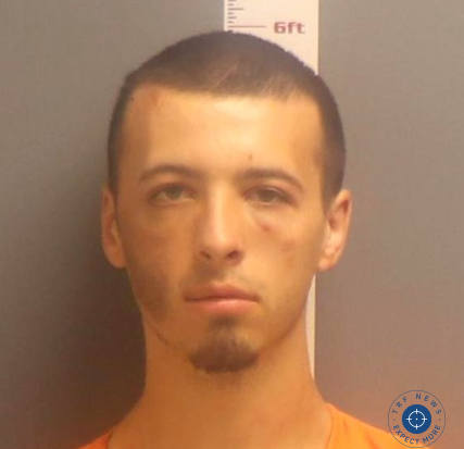 Cole William Halverson mugshot