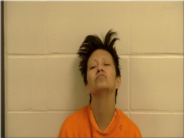 Amanda Joy Ironbear mugshot
