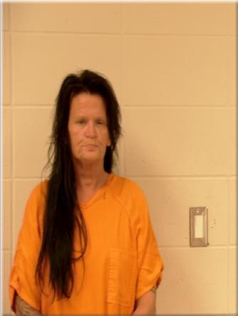 Mugshot of Sheila Olson from Pennington County Jail roster