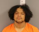 Mugshot of Jaden White