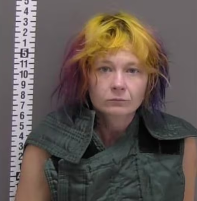 Andrea Lynn Sluke mugshot