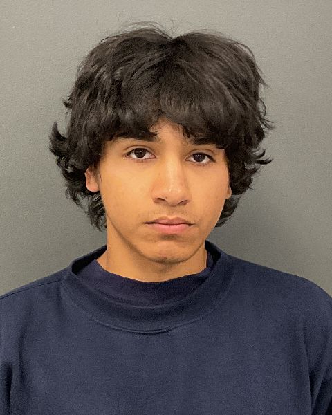 Booking photo of Damian Casillas