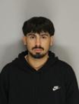 Anthony Hartley Chase booking photo
