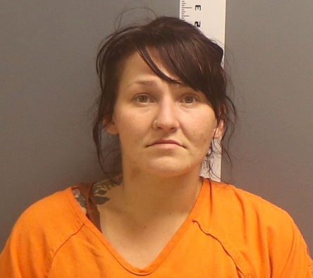 Erica Theresa Heisler booking photo