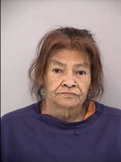 Mugshot of Brenda Lee Hill from the NWRCC jail roster