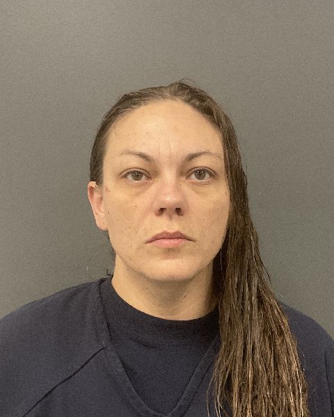 Julia Bree Olgeirson booking photo