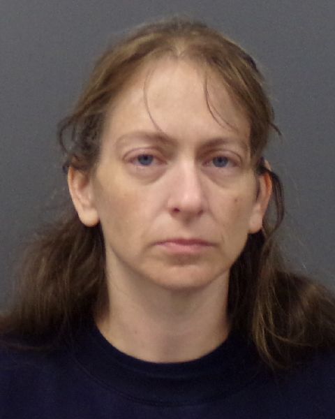 Booking photo of Amanda Rose Pankowski