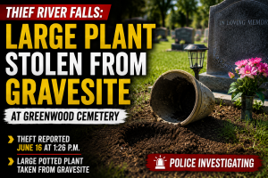 Thief River Falls Gravesite Plant Stolen