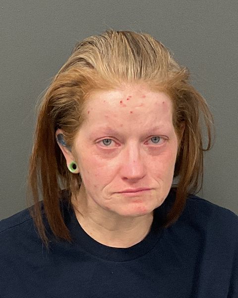 Theresa Ann Webb