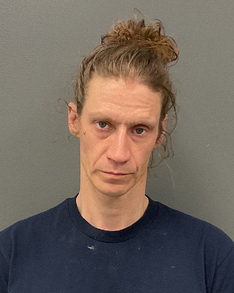 Danielle Marie Whitebird booking photo